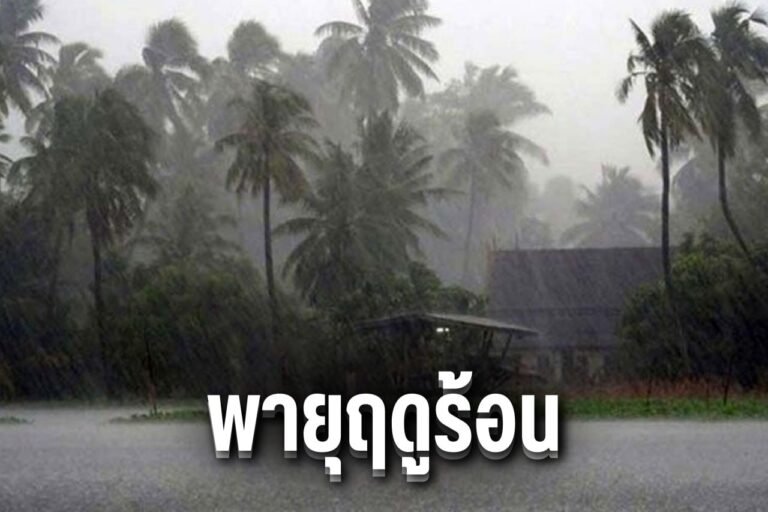 พายุฤดูร้อน