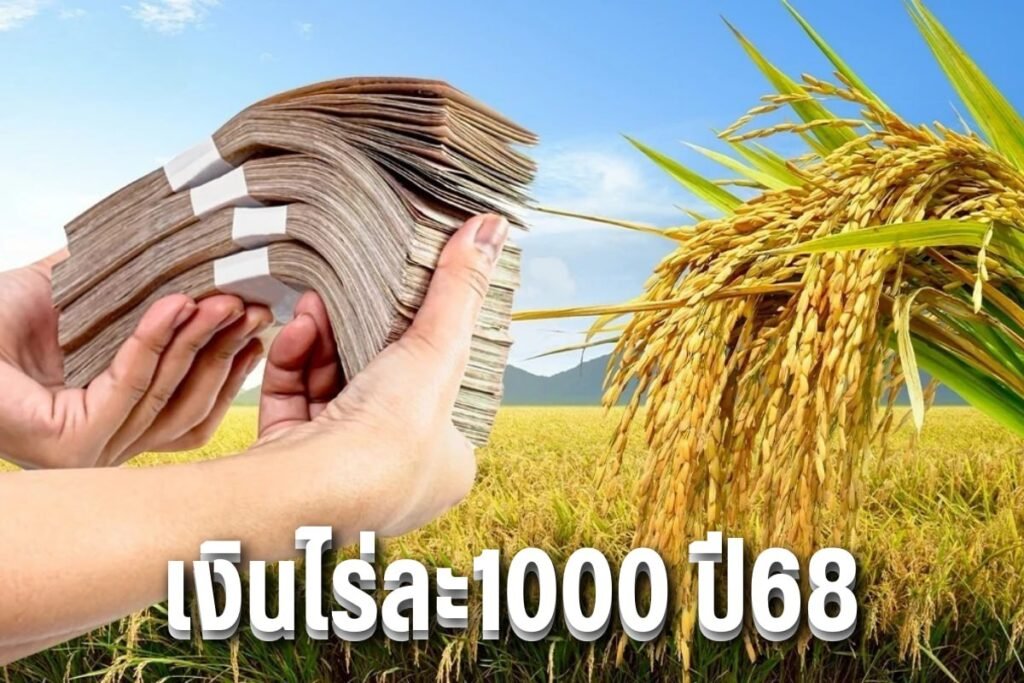 เงินไร่ละ1000 ปี68