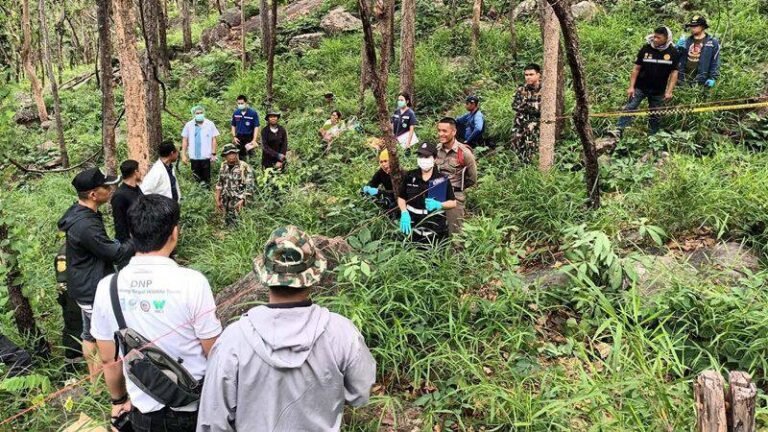 โครงกระดูก